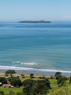 people are on the beach and in the water near some trees, sand and grass