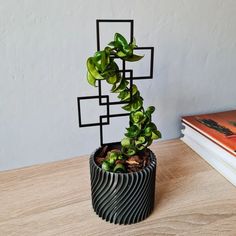 a small potted plant sitting on top of a wooden table next to a book