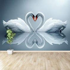 two swans making a heart shape with their necks in front of a blue wall mural