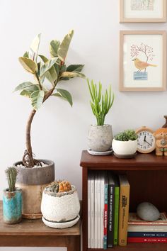 three potted plants sit on top of a wooden table next to books and other decorative items