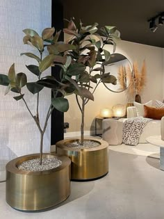 two potted plants are on display in front of a couch and table with pillows