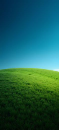 a green field with blue sky in the background