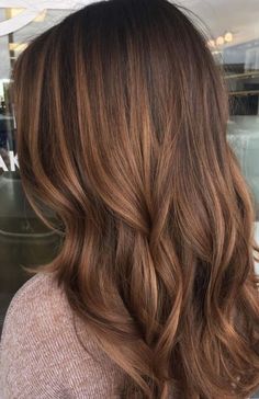 Hazelnut Hair Color, Hazelnut Hair, Hairstyles For All Hair Types, Chestnut Hair, Chestnut Hair Color, Honey Brown Hair