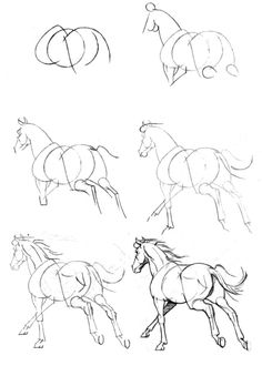 some horses that are running in different directions