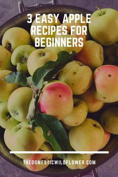 a bowl full of apples with text overlay that reads 3 easy apple recipes for beginners