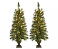 two tall trees with lights on them are shown in the shape of christmas tree trunks