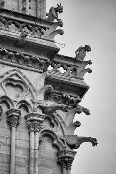 the top of an old building with gargoyles on it