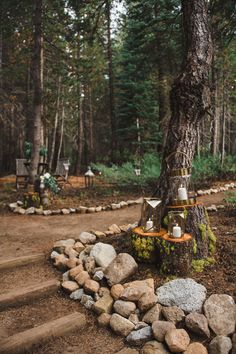 a tree stump with some lights on it in the middle of a dirt path surrounded by rocks and trees