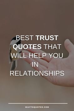 a hand holding a bird with the words best trust quotes that will help you in relationships