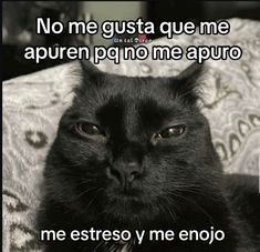 a black cat sitting on top of a couch with the caption'no me gusta que me apuren po no me apuro