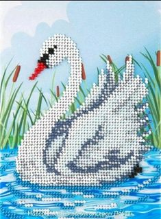 a white swan floating on top of a body of water