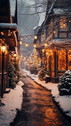 a snowy street with lights strung from the buildings and snow covered trees on both sides