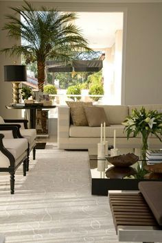 a living room filled with furniture and a palm tree in the middle of the room