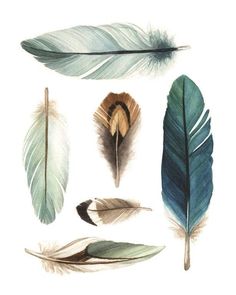 several different types of feathers are shown in this drawing, including one large and one small feather