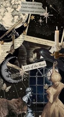 an altered collage with cats, birds and stars