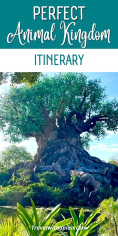 the tree of life at disney's animal kingdom with text overlay that reads perfect animal kingdom itinerary