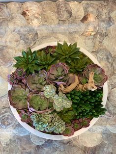 a white bowl filled with green and purple succulents on top of rocks