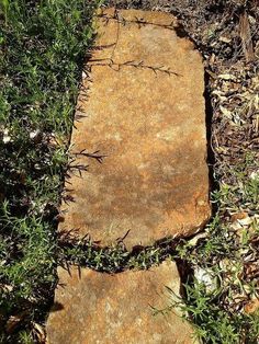 a stone walkway in the middle of some grass