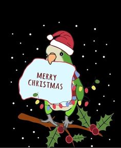 a green bird wearing a santa hat and holding a sign that says merry christmas on it