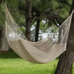 a hammock hanging between two trees in the grass