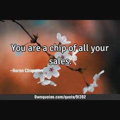 You are a chip of all your sales.

  #Philosophy #Success #Truth