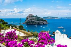 purple flowers are growing on the roof of a building overlooking the ocean and boats in the water