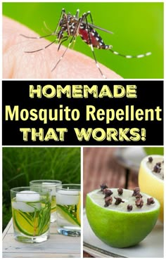 mosquito repellent that works for home and garden pests in the house, yard or backyard