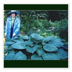 a woman standing in the middle of a garden with lots of green leaves on it