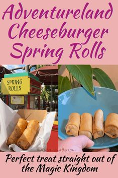 an advertisement for the disneyland cheeseburger spring rolls at magic kingdom in disney world