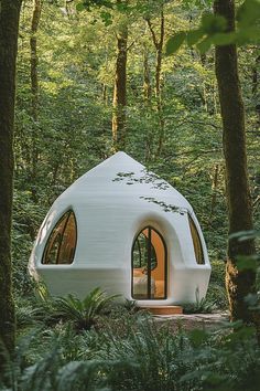 a small white building in the middle of a forest with lots of trees around it