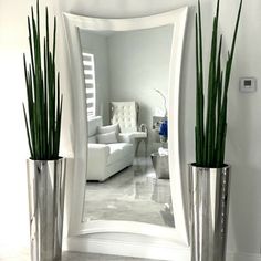 two vases with green plants in them are next to a large mirror on the wall