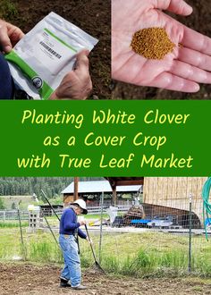 a man holding a bag of white clover as he stands in front of a field