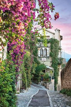 an alley way with flowers growing on it