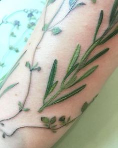 a close up of a person's arm with green leaves on it