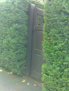 an open door in the side of a green hedge