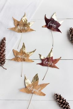 autumn leaves and pine cones are arranged on a white surface with the word love spelled in gold