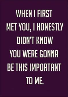 a quote that reads, when first met you, honesty didn't know you were going