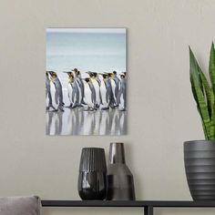 a group of penguins standing on the beach in front of some water and plants, with one penguin looking at the camera