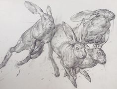 an ink drawing of three rabbits in the air