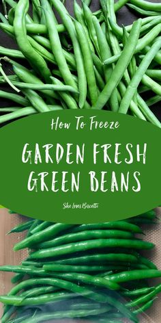 how to freeze garden fresh green beans with text overlay that reads, how to freeze garden fresh green beans