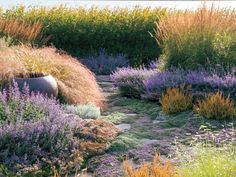 a garden filled with lots of different types of flowers and plants next to each other