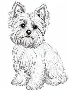 a drawing of a small dog with long hair and big eyes, sitting on the ground