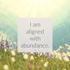 the words i am aligned with abundance are in front of a field of wildflowers