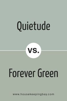 Quietude SW 6212 by Sherwin Williams vs Forever Green SW 9653 by Sherwin Williams Peaceful Bedroom, Light Sea Green, Forever Green, Bedroom Green, Accent Walls