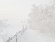 a snow covered path next to a street light in the middle of a snowy day