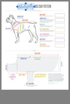 a diagram showing the anatomy of a dog's coat pattern and how to use it