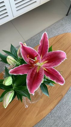 a pink flower sitting on top of a wooden table