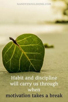 a green apple sitting on top of a sandy beach next to the ocean with a quote about habitt and discipline will carry us through when motivation