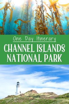 the cover of one day itinerary channel islands national park with seaweed and lighthouse