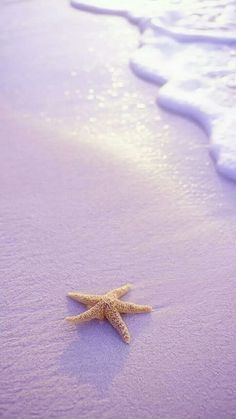 a starfish is laying on the sand at the beach